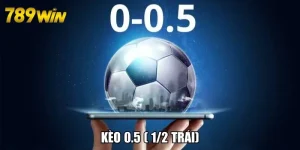 Kèo 0.5 (1/2 Trái) Là Gì? Hướng Dẫn Đọc Kèo Đơn Giản