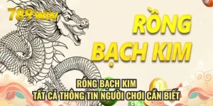 Tất Cả Thông Tin Về Rồng Bạch Kim Mà Người Chơi Cần Biết