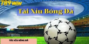 Tài Xỉu Bóng Đá Là Gì, Kinh Nghiệm Đặt Cược Tài Xỉu Hiệu Quả